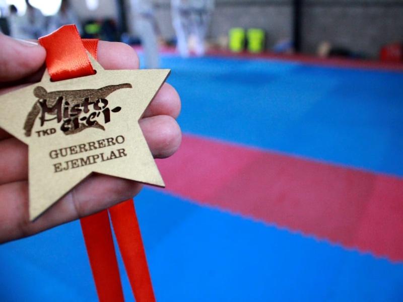 mistoerer taekwondo mexico 11