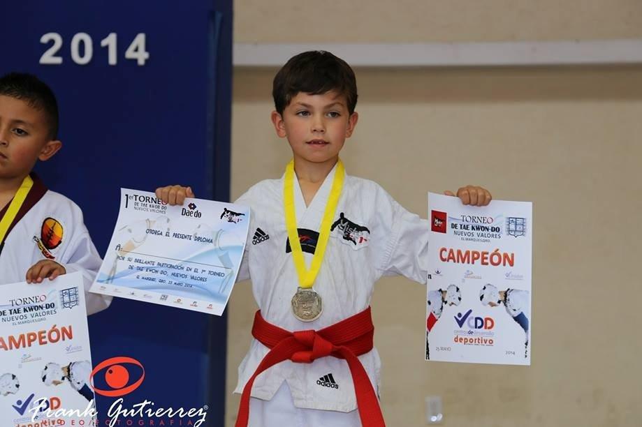 combattimento taekwondo italia trentino misto erer 