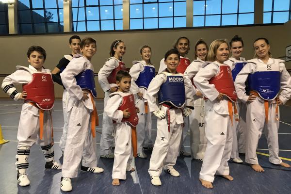 cinture taekwondo italia trentino misto erer