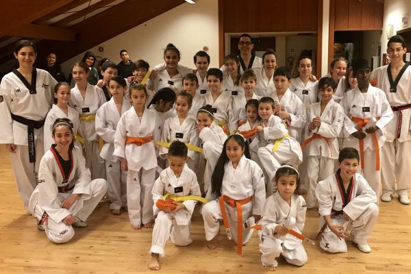 corsi di taekwondo trentino italia misto erer